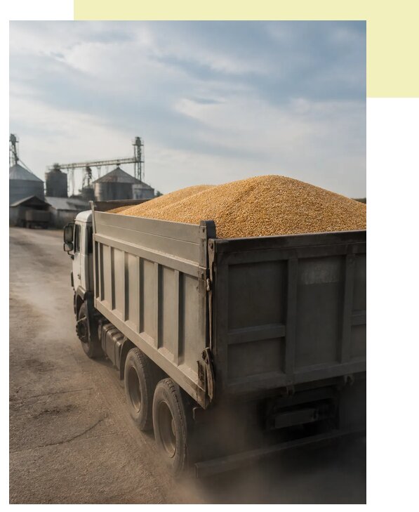 Перевозка сельхозпродукции навалом в Баксан по цене от 3031 р. | Агросервис-Бкс